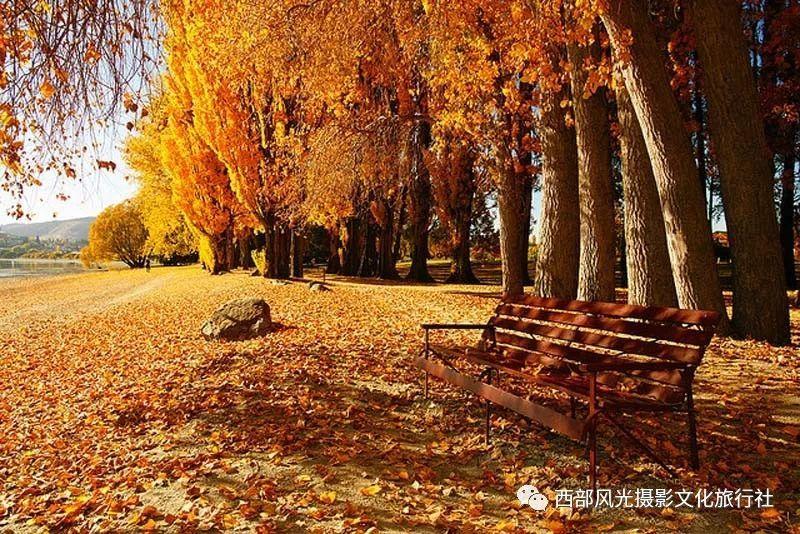 资阳区桥北大市场新春年货节暨电商直播带货大赛开幕