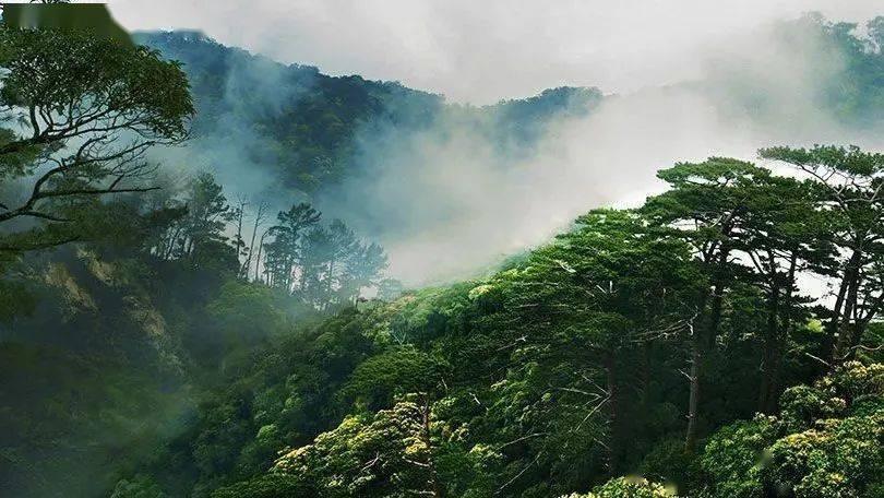 贪吃鼠吃豆豆