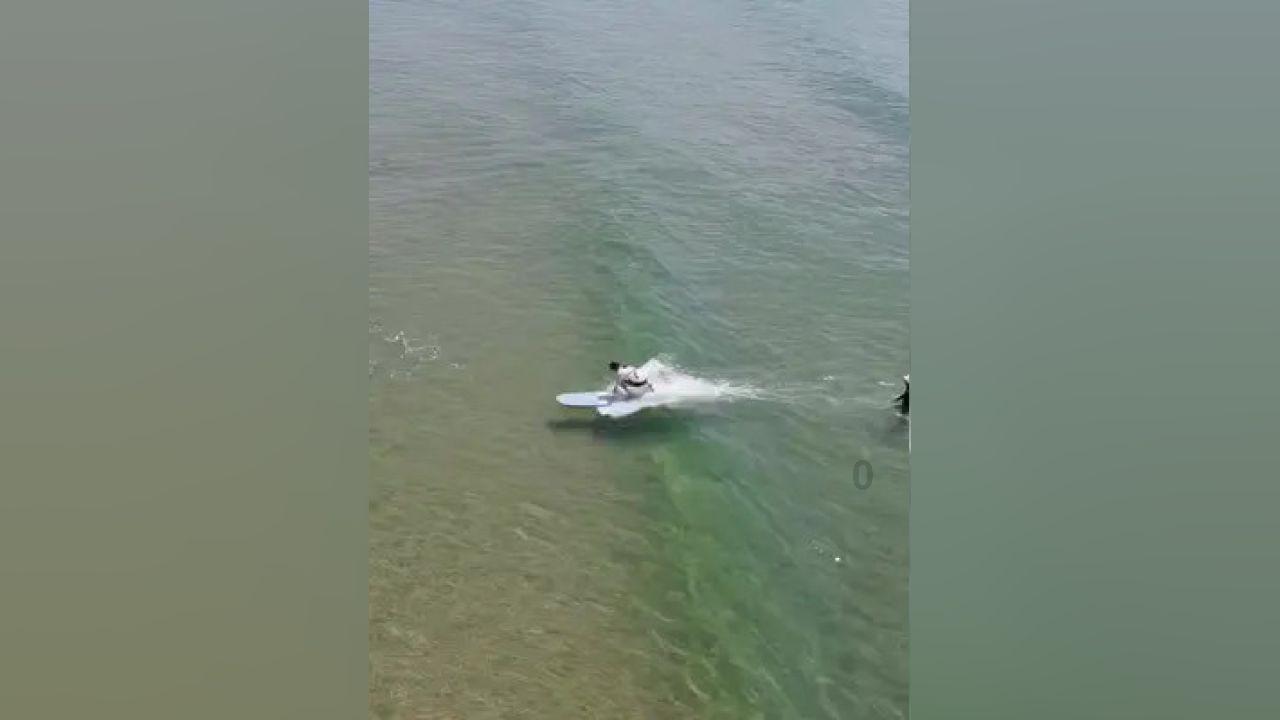 水系战士