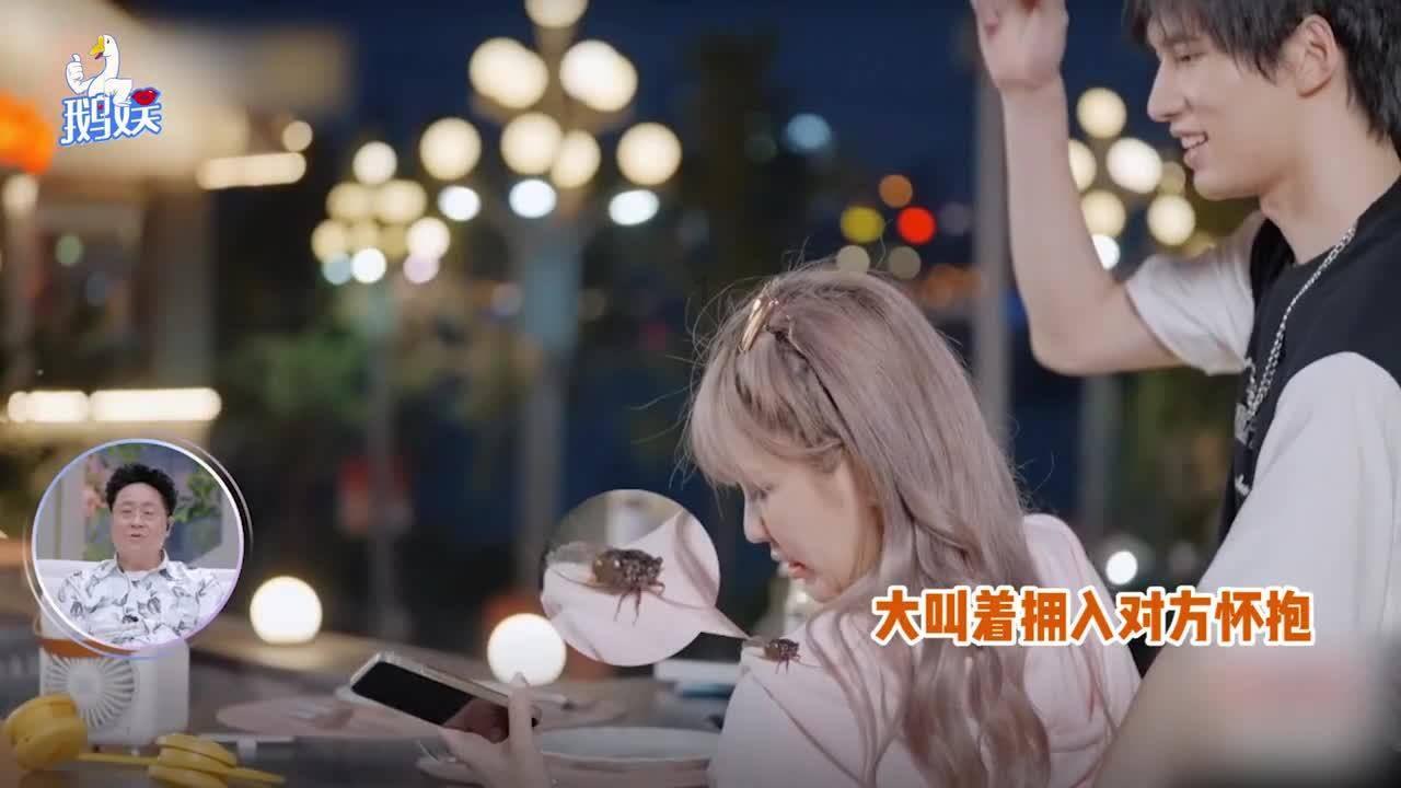 组装机械章鱼龙