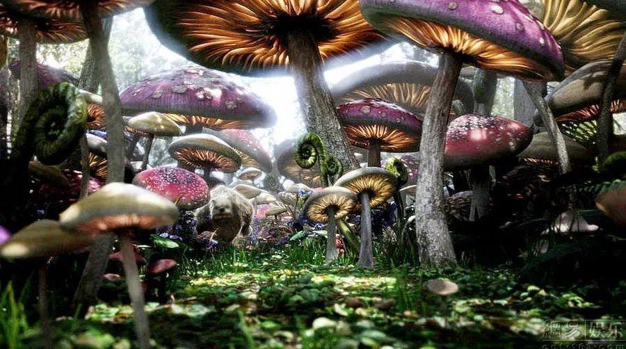起床气会对自己的喜欢的人发吗？游戏画面